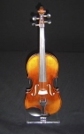 Violin Framed in Acrylic with an Acrylic Foot stand